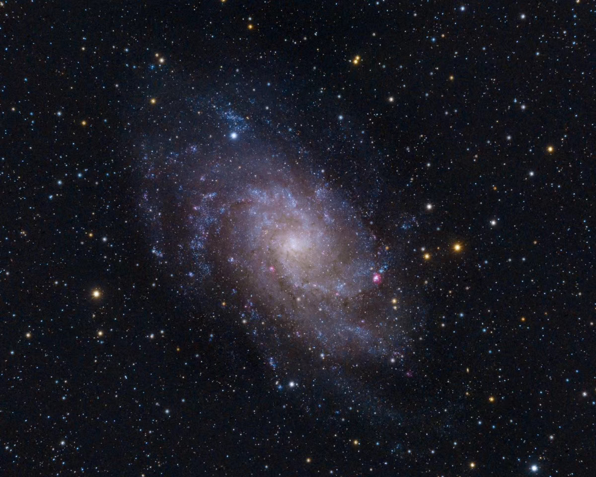 The Triangulum Galaxy (M33)